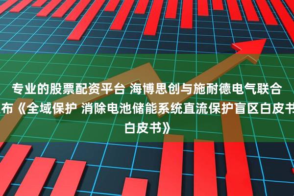 专业的股票配资平台 海博思创与施耐德电气联合发布《全域保护 消除电池储能系统直流保护盲区白皮书》
