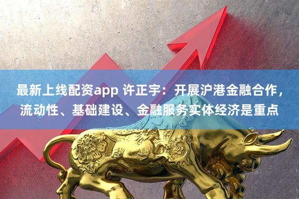 最新上线配资app 许正宇：开展沪港金融合作，流动性、基础建设、金融服务实体经济是重点
