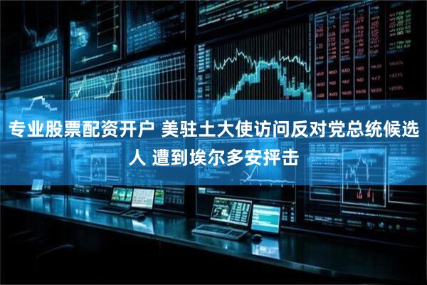专业股票配资开户 美驻土大使访问反对党总统候选人 遭到埃尔多安抨击