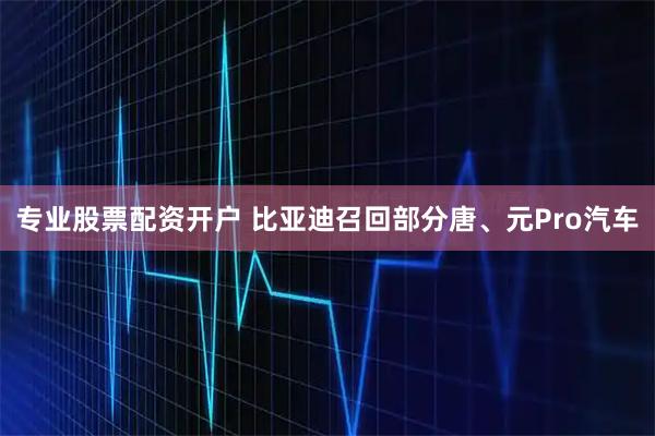 专业股票配资开户 比亚迪召回部分唐、元Pro汽车